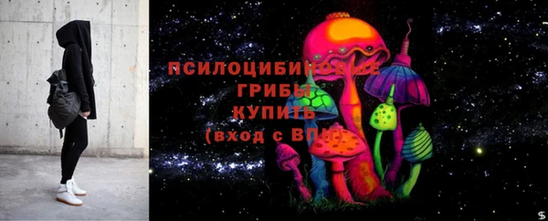 ПСИЛОЦИБИНОВЫЕ ГРИБЫ Гусев