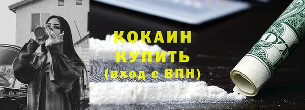 ПСИЛОЦИБИНОВЫЕ ГРИБЫ Гусев