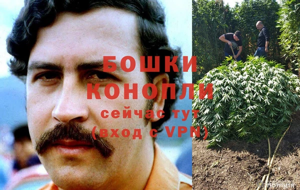 ПСИЛОЦИБИНОВЫЕ ГРИБЫ Гусев