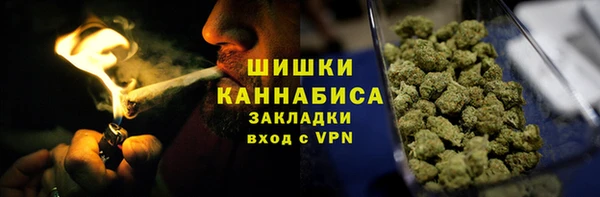 прущие грибы Гусь-Хрустальный