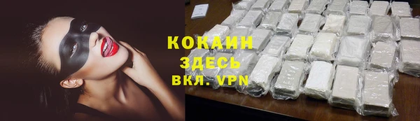 ПСИЛОЦИБИНОВЫЕ ГРИБЫ Гусев