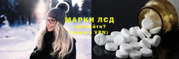 ПСИЛОЦИБИНОВЫЕ ГРИБЫ Гусев