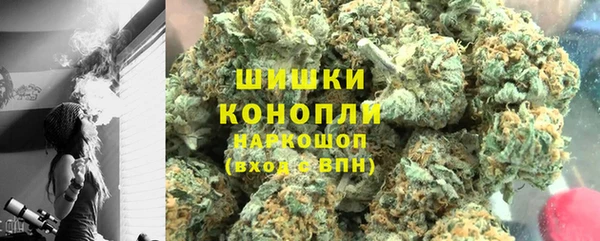 прущие грибы Гусь-Хрустальный