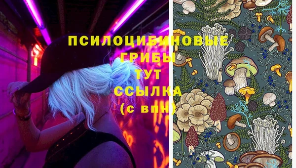 прущие грибы Гусь-Хрустальный