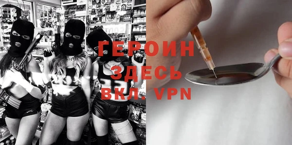 МДПВ Дмитриев