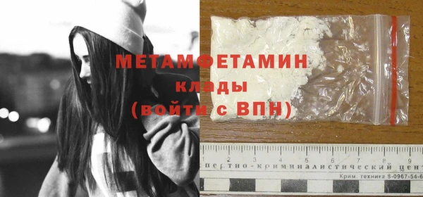 ПСИЛОЦИБИНОВЫЕ ГРИБЫ Гусев