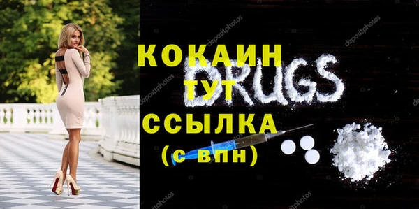 МДПВ Дмитриев